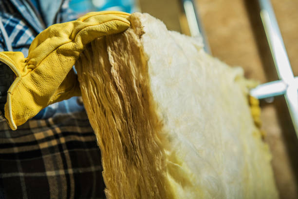 Best Insulation for New Construction  in Tysons, VA
