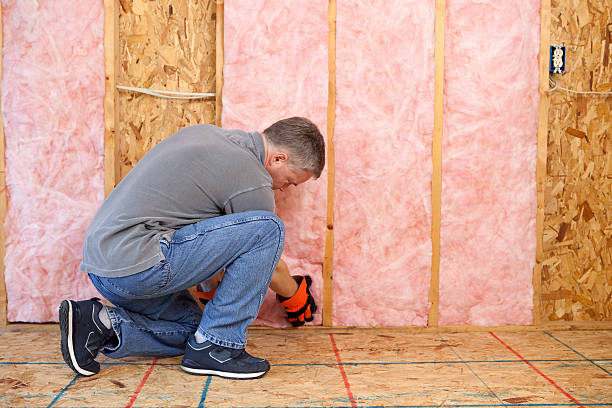 Best Insulation Removal  in Tysons, VA